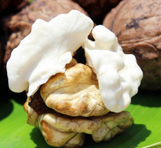 濕核桃孕婦可以吃嗎？孕婦吃新鮮濕核桃還是干核桃好？