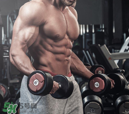 肌酸能空腹喝嗎？肌酸可以天天吃嗎？