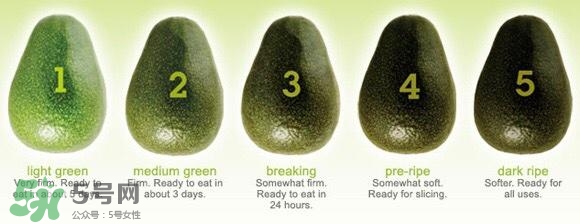 牛油果隔夜了還能吃嗎？牛油果可以冷凍保存嗎？