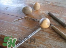 牛油果核能吃嗎？牛油果核怎么種盆栽？