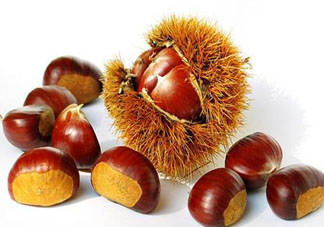 板栗為什么容易生蟲？板栗長蟲怎么辦？