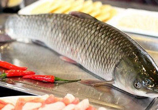 鯇魚和草魚哪個(gè)好吃？鯇魚和草魚的區(qū)別