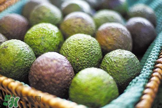 牛油果是熱性還是寒性？牛油果是酸性還是堿性？