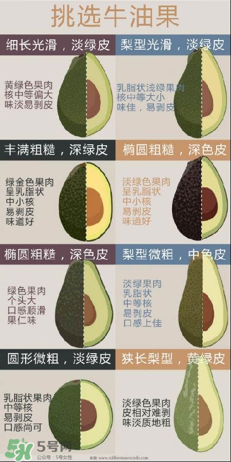 牛油果怎么挑選？牛油果多少錢一斤？