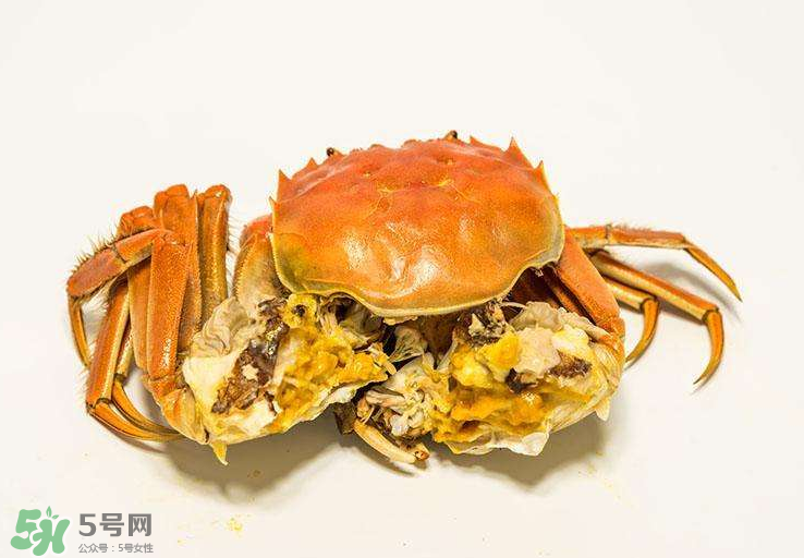 哪種螃蟹有蟹黃？哪種螃蟹蟹黃最多？