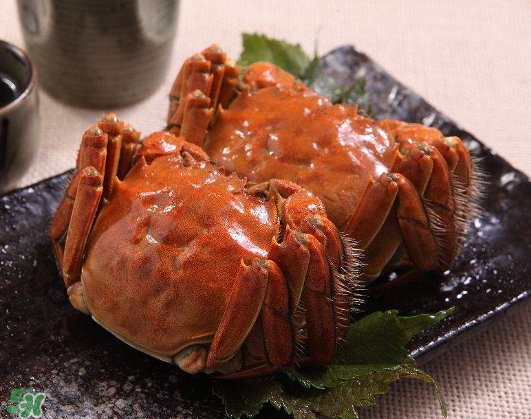 哪種螃蟹有蟹黃？哪種螃蟹蟹黃最多？