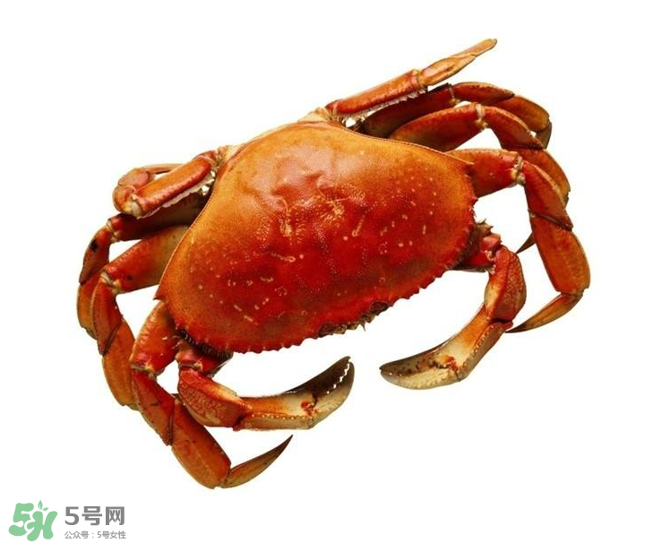 哪種螃蟹不能吃？什么樣的螃蟹不能吃？