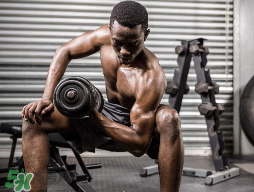 肌酸是什么東西？肌酸是興奮劑嗎？