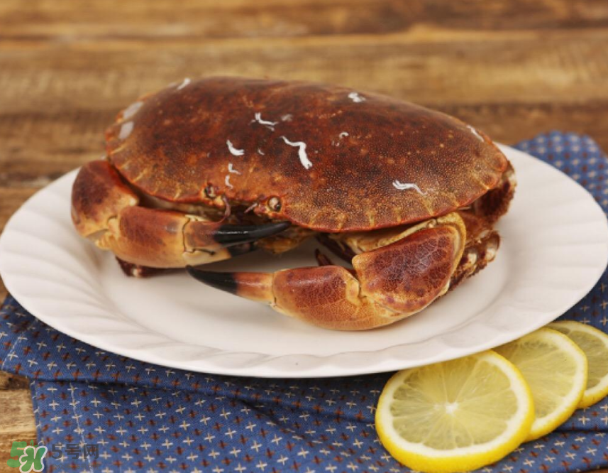 哪種螃蟹便宜？哪種螃蟹最貴？