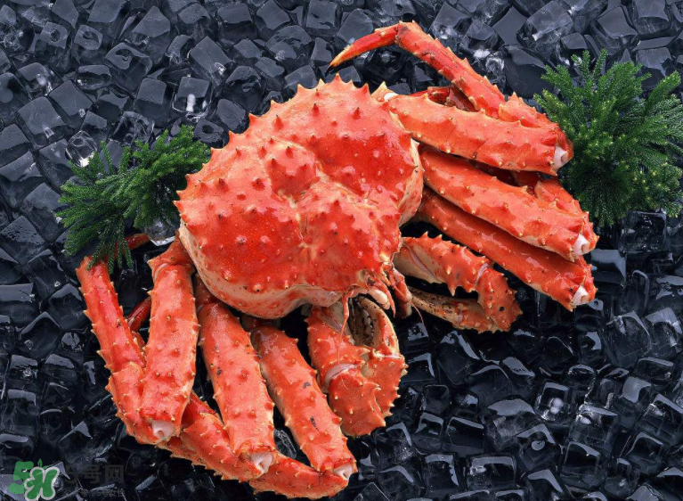 哪種螃蟹便宜？哪種螃蟹最貴？