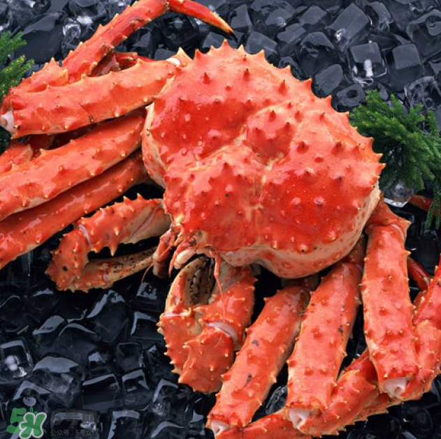 哪種螃蟹便宜？哪種螃蟹最貴？