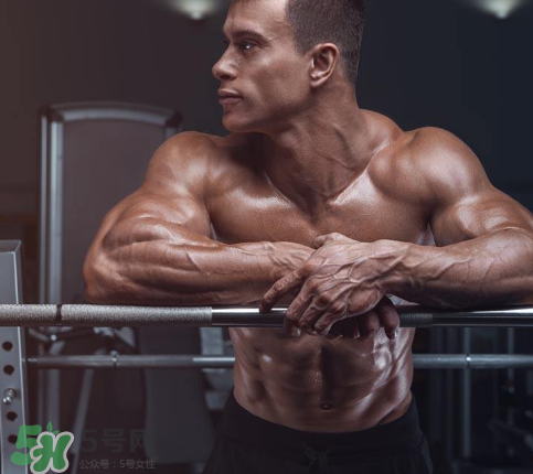 肌酸吃多久需要停用？肌酸吃多了會(huì)怎么樣？