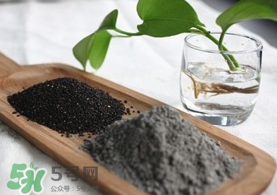 核桃粉寶寶可以吃嗎？寶寶幾個月可以吃？