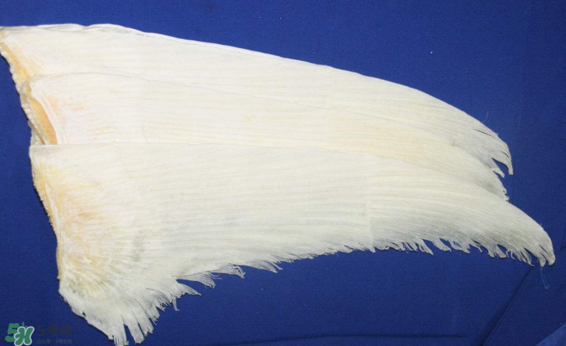 魚翅卡喉嚨了怎么辦？魚翅卡喉嚨的自救法