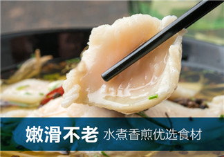 巴沙魚(yú)柳是什么魚(yú) 巴沙魚(yú)柳是不是龍利魚(yú)