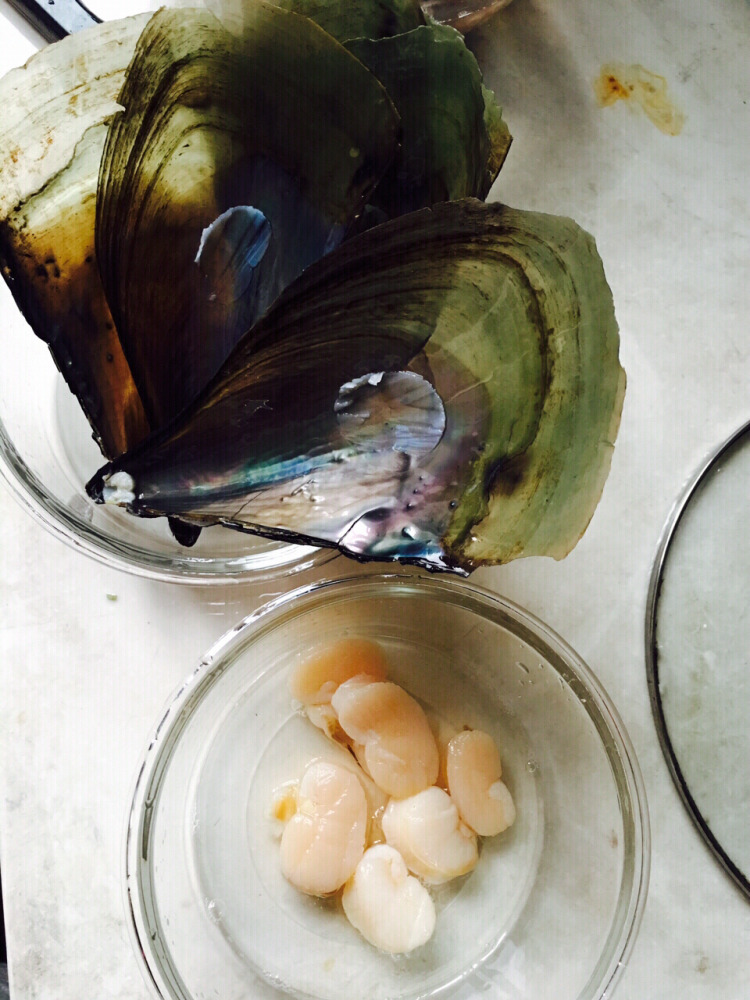 粉絲帶子的做法 粉絲帶子蒜蓉的做法 粉絲帶子的做法 粉絲帶子蒜蓉的做法