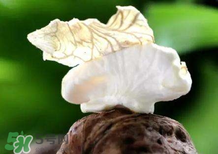 新鮮核桃要?jiǎng)兤?？剝皮時(shí)手變黑怎么清洗？