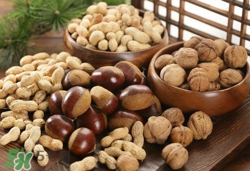 孕婦可以喝核桃粉嗎？孕婦喝核桃粉好嗎？