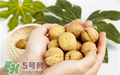 核桃怎么挑選好壞？怎么辨別核桃的好壞？