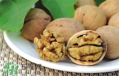 核桃分心木可以煲湯嗎？核桃分心木可以和枸杞泡水嗎？