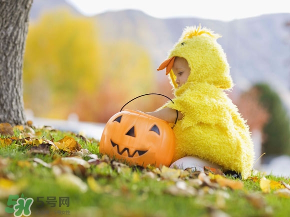 核桃粉哪個(gè)牌子好？核桃粉價(jià)格