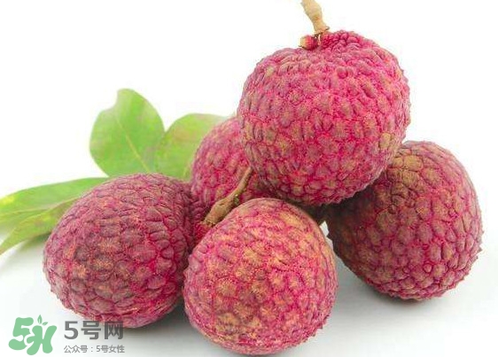 荔枝有酒精嗎？荔枝為何難保鮮