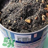 核桃粉怎么做？核桃粉的功效與作用