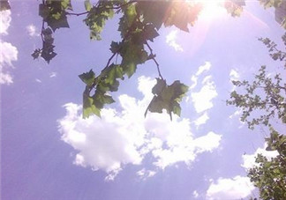 三伏天吃什么？三伏天養(yǎng)生