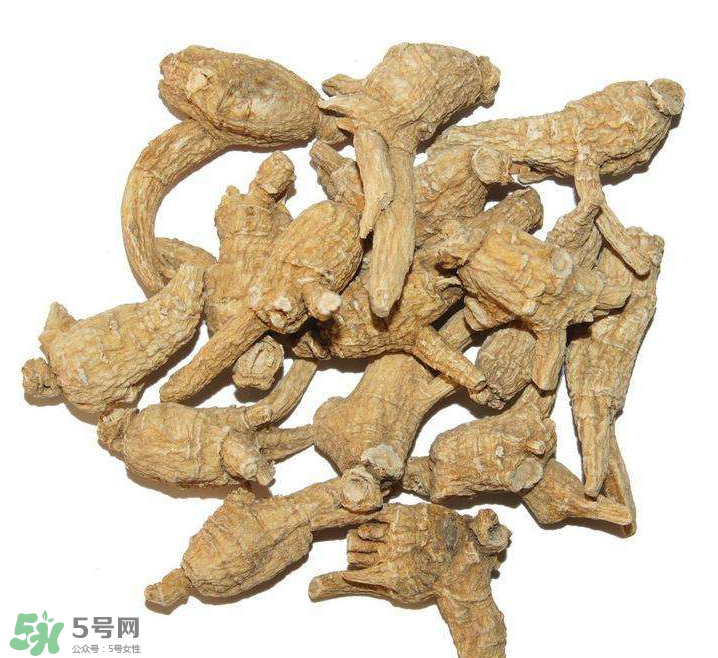 花旗參和西洋參的區(qū)別 花旗參好還是西洋參好？