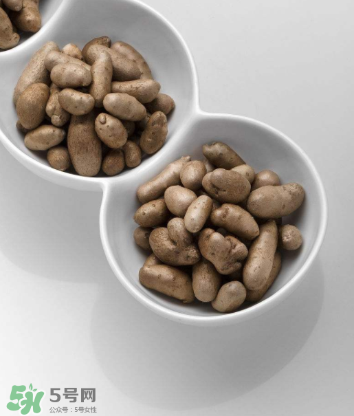 山藥豆是怎么長出來的？山藥豆是山藥的種子嗎？