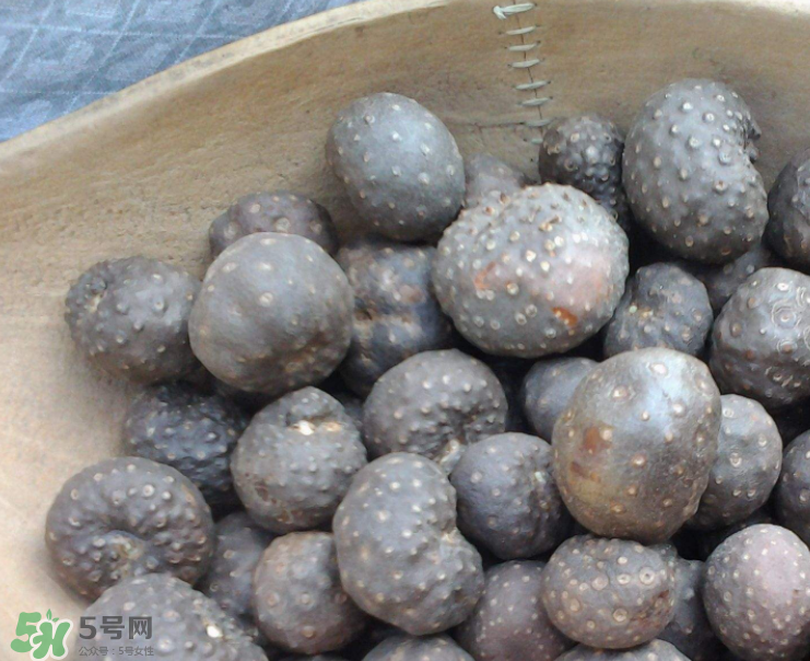 山藥豆是怎么長出來的？山藥豆是山藥的種子嗎？