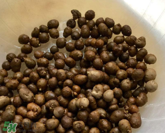 山藥豆能生吃嗎？山藥豆能帶皮吃嗎？