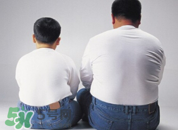 熬夜會長胖的原因  長胖是因為熬夜嗎？