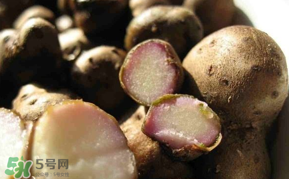 山藥豆能泡酒嗎？山藥豆能打豆?jié){嗎？