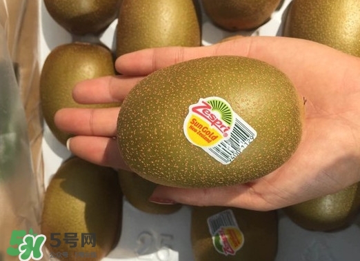 黃心獼猴桃叫什么名字？黃心獼猴桃是什么品種