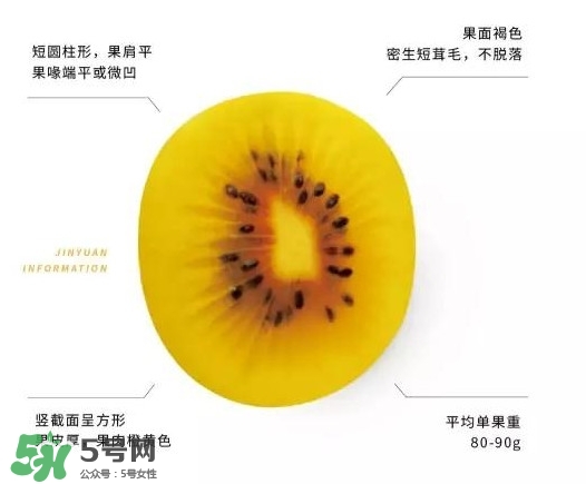 黃心獼猴桃叫什么名字？黃心獼猴桃是什么品種