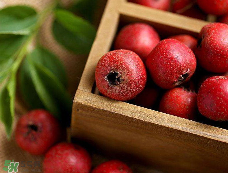 山楂和枸杞能一起泡水喝嗎？