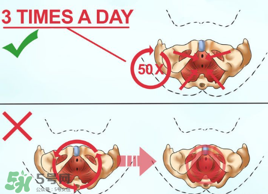 鍛煉pc肌真的有用嗎？練pc肌可以增長(zhǎng)性愛(ài)時(shí)間嗎？