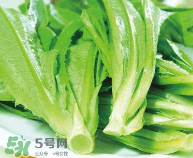 萵苣葉能吃嗎？萵苣葉和油麥菜有什么區(qū)別