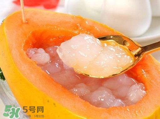 如何分辨雪蛤真假？挑雪蛤的方法