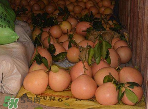 三紅蜜柚怎么儲(chǔ)藏保鮮？三紅蜜柚苗哪里可以買到