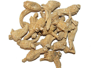 花旗參和西洋參的區(qū)別 花旗參好還是西洋參好？