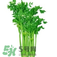 醋泡洋蔥能降血壓嗎？哪些食物可以降血壓？