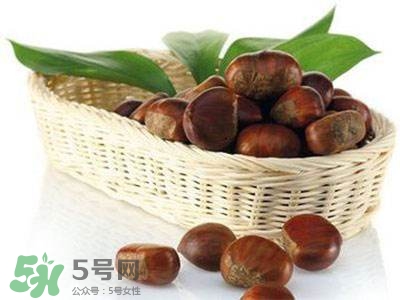 板栗酒能治療腎陽(yáng)虛嗎？板栗泡酒真的能壯陽(yáng)嗎？