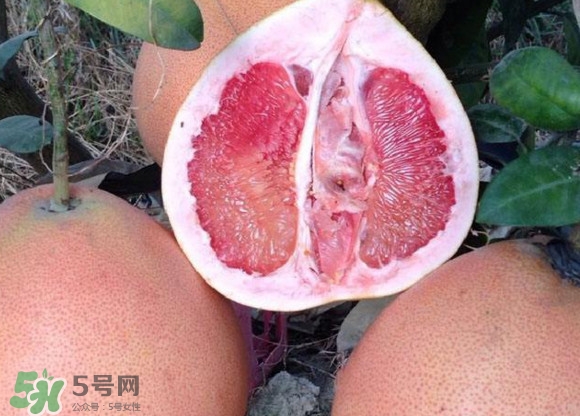 三紅蜜柚口味怎么樣？三紅蜜柚苗多少錢一棵