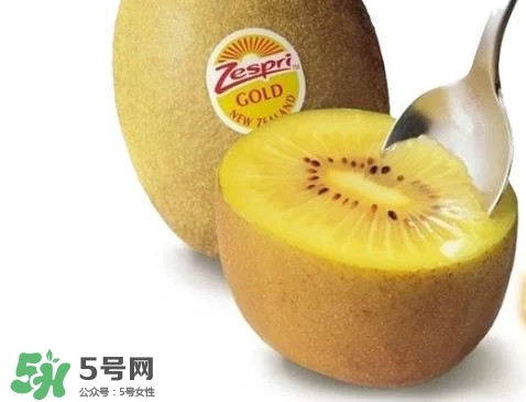 黃心獼猴桃叫什么名字？黃心獼猴桃是什么品種