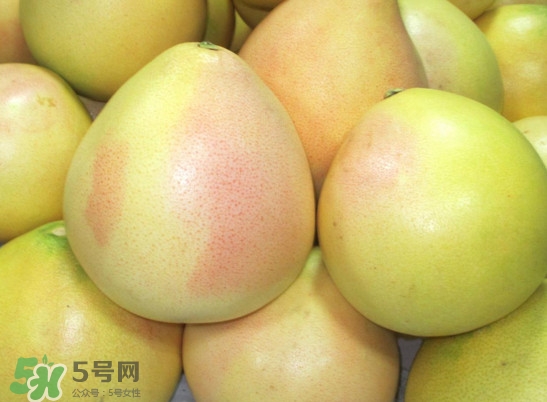 三紅蜜柚什么時(shí)候種植？三紅蜜柚什么時(shí)候成熟