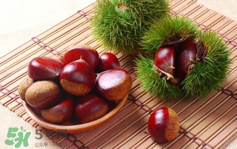 板栗酒能治療腎陽(yáng)虛嗎？板栗泡酒真的能壯陽(yáng)嗎？