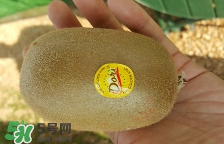 黃心獼猴桃叫什么名字？黃心獼猴桃是什么品種