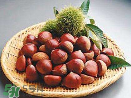 板栗酒能治療腎陽(yáng)虛嗎？板栗泡酒真的能壯陽(yáng)嗎？